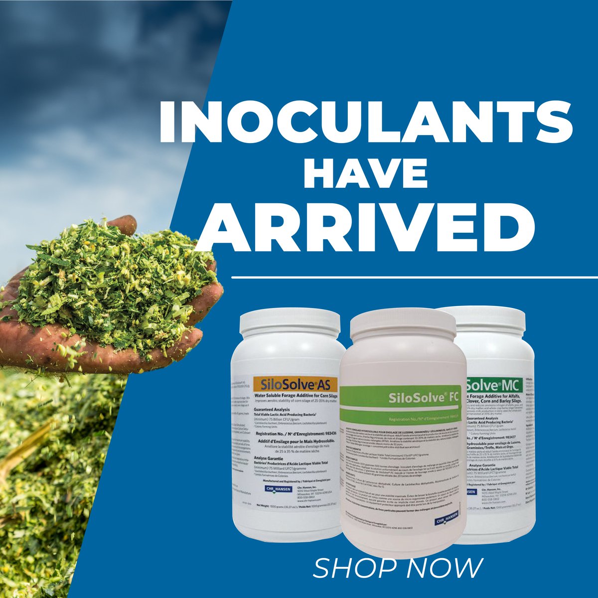 📢 INOCULANTS HAVE ARRIVED! 🌾
Looking to lock in silage quality and improve fermentation this season? Our full lineup of SiloSolve® Inoculants is now in stock and ready to ship! ✨
🛒 Shop Now and get your silage off to a powerful start: link.gvfgroup.ca/Inoculants