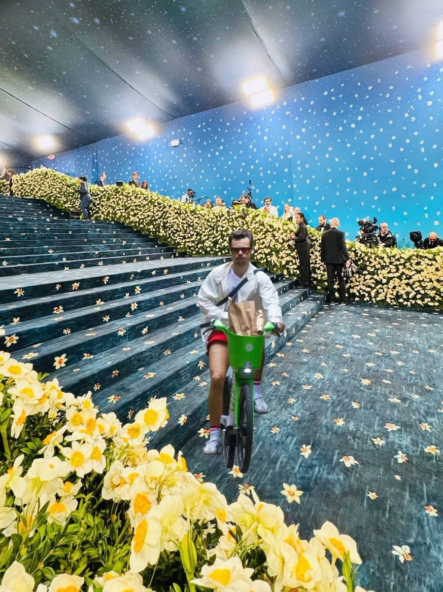 harry styles has arrived at the met gala