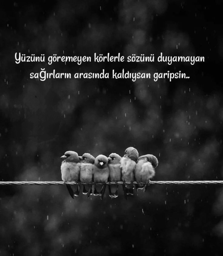 #UzakŞehir #altın #HIDIRELLEZ #salı #GeceyeNotum