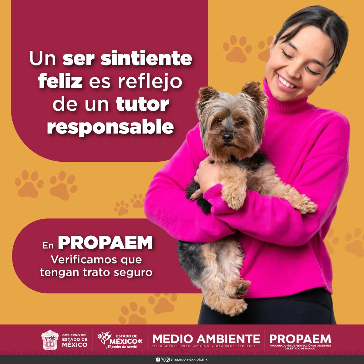🐶 un #TutorResponsable les brinda atención, cariño y cuidados todos los días. #PROPAEM
