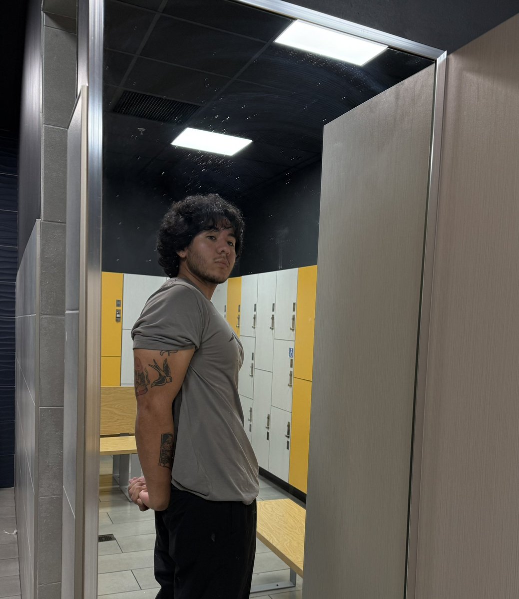 Alexander tweet media