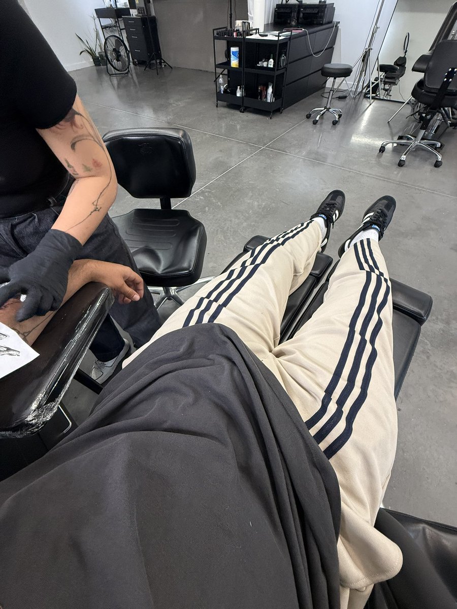 Alexander tweet media