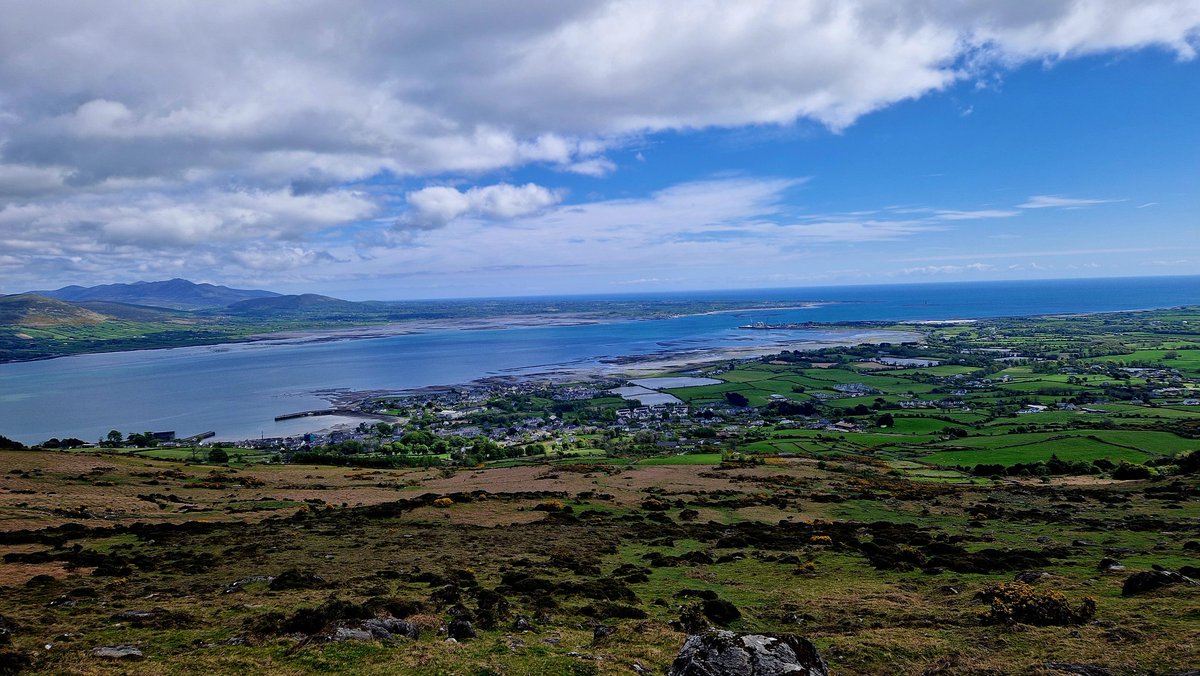 Pádraig Ó Beaglaoich tweet media