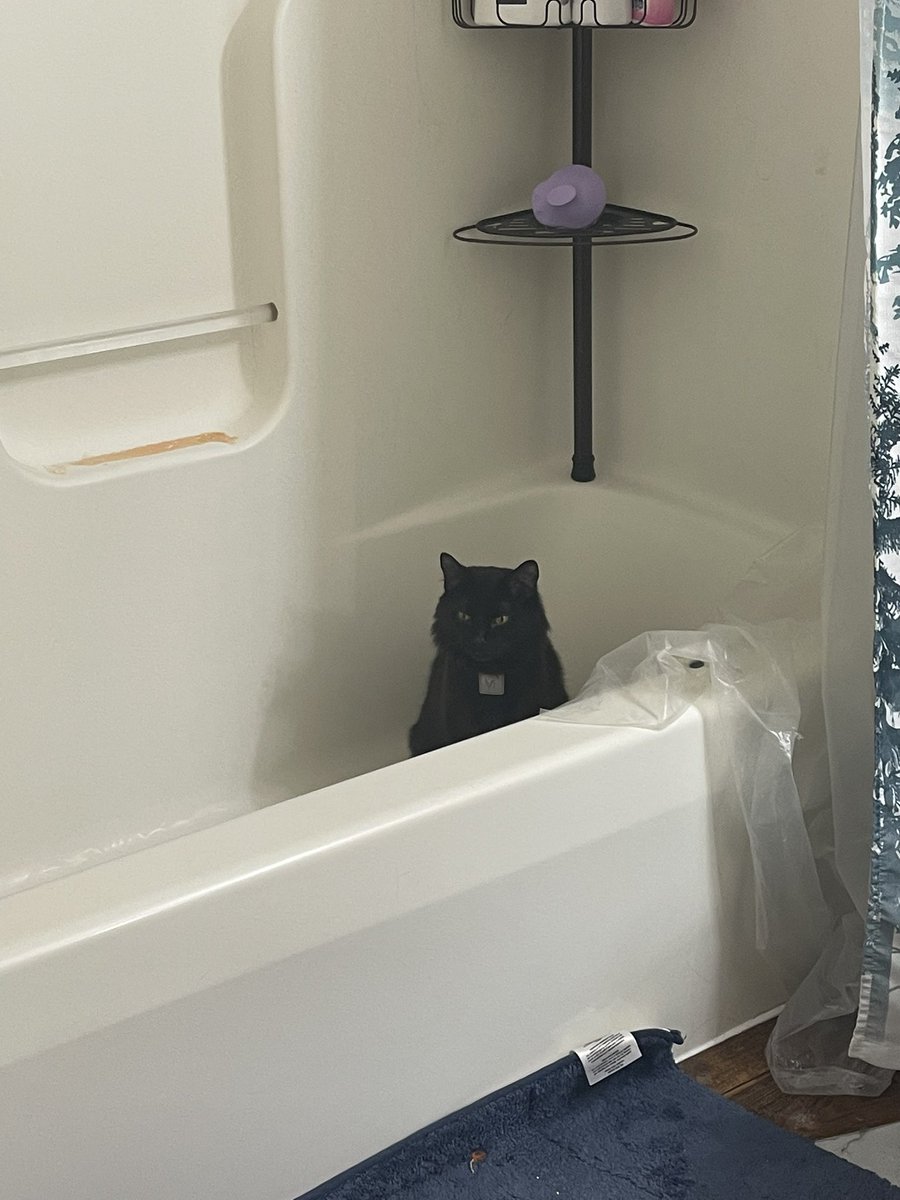 Deep thoughts in the shower