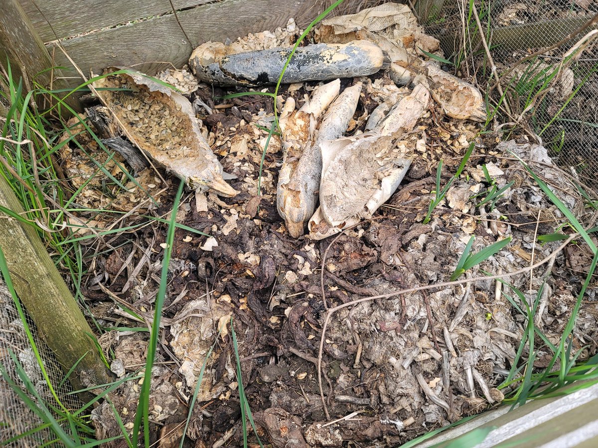 Happy International Compost Awareness Week!  Composting is a great way to connect with nature, improve soil and water quality, grow the next generation of plants, as well as take care of the environment by reducing our impact on the environment.  #CompostAwareness #Sustainablity