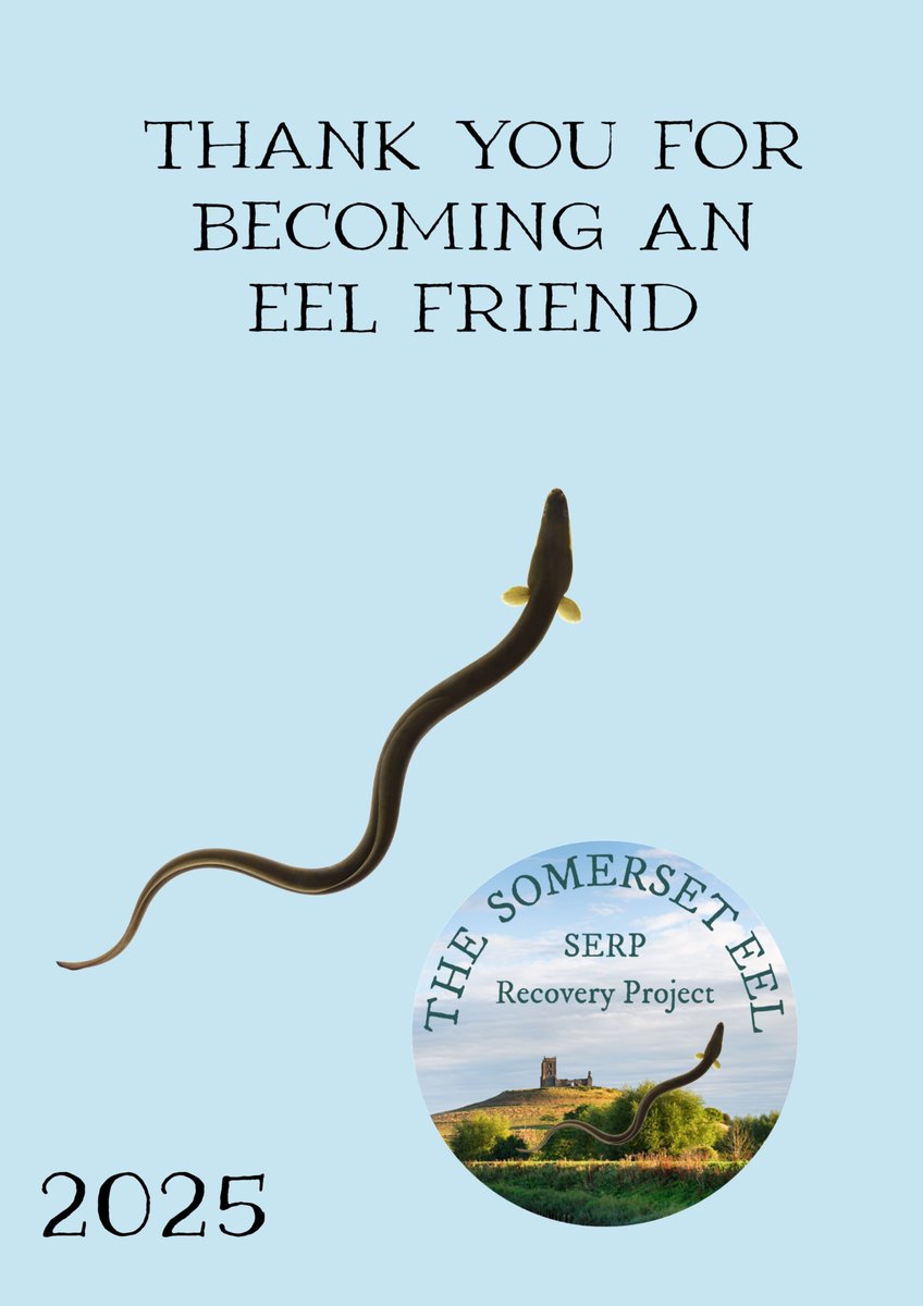 The_peoples_eel's tweet image. Become an Eel friend for a tenner!
crowdfunder.co.uk/p/conservation…