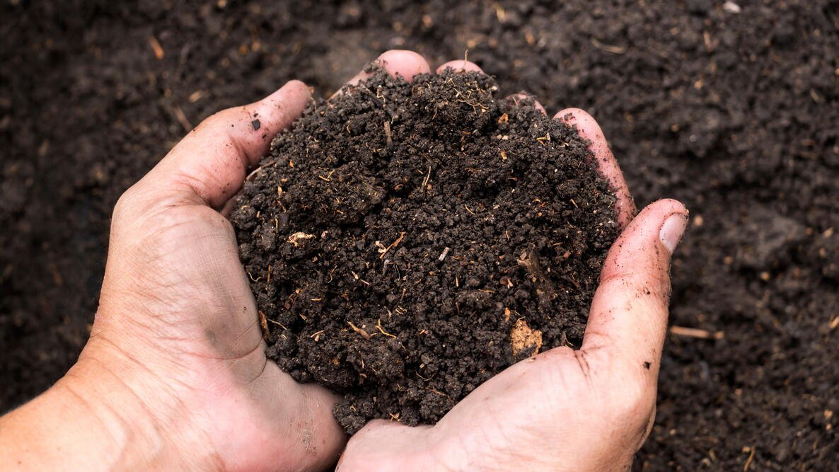 Get your garden soil ready for #Garden25 with these essential tips! 🌿👇 

📖 almanac.com/soil-preparati…
📺 youtube.com/watch?v=hN0xeE…

#SoilPreparation #GardeningTips #GardenPrep #HealthySoil #PlantCare #GardenGoals #GrowYourOwnFood