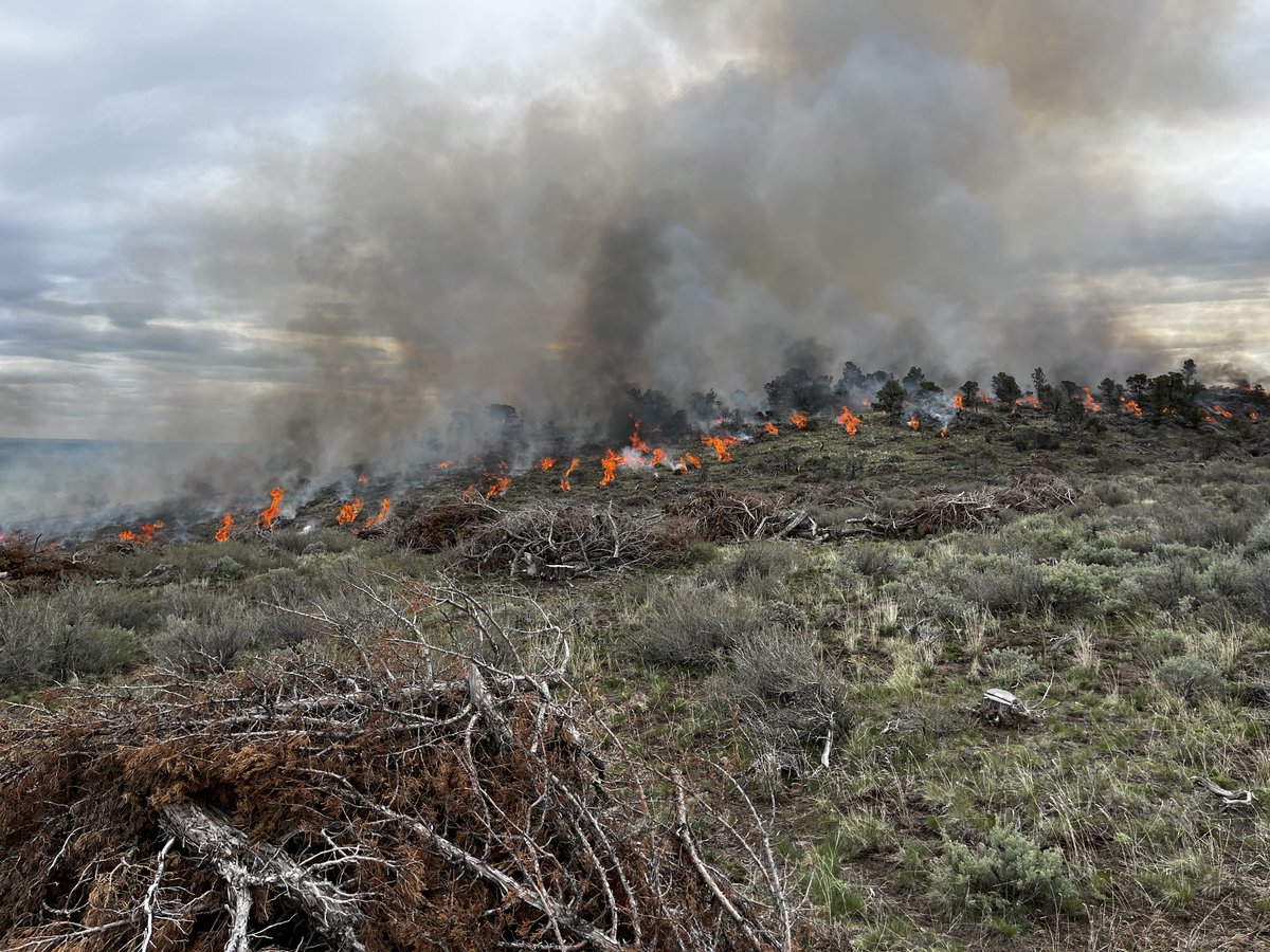 Prescribed Fire – Bruneau-Owyhee-Sage-Grouse Habitat (BOSH)

Starting tomorrow and continuing through the weekend, the BLM Boise Fire Aviation Program will be conducting prescribed burns. Find more info @
facebook.com/BLMIdahoFire/