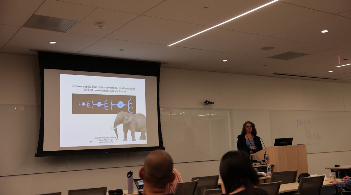 UCI_NeurCircuit's tweet image. 📸 April in Focus!
This month, we thank our speakers👏
- Dr. Yoav Ben-Simon, PhD (AIBS)
- Dr. Cameron S. Carter, MD (UCI)
- Dr. Zheng Yi-Chen, PhD (Harvard)
- Dr. Suzana Herculano-Houzel, PhD (Vanderbilt)
Ready for May seminars! 📚🧠