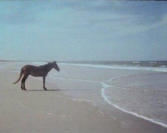 when your favourite chatter isn’t chronically online anymore