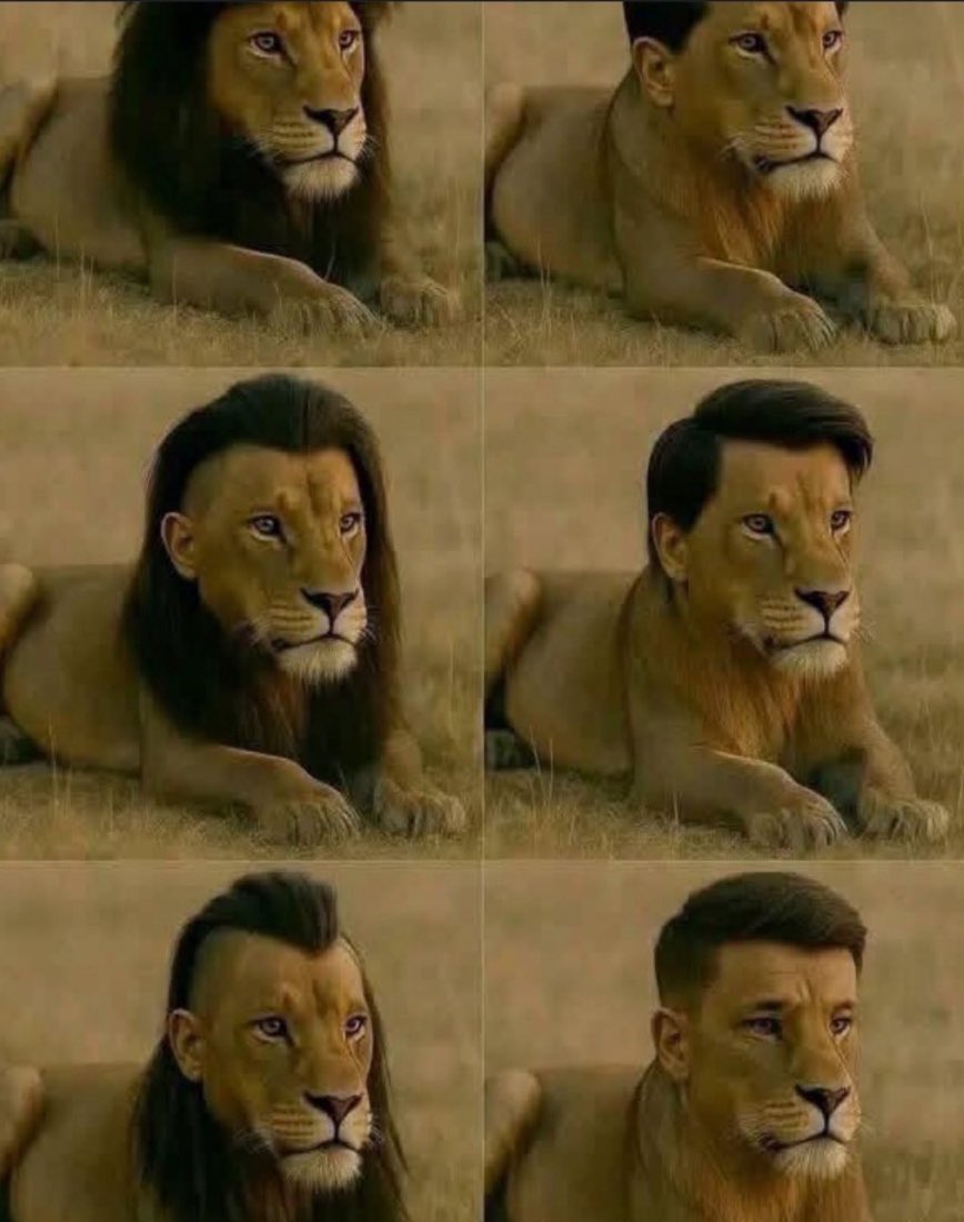 What is bro sending us 🥀