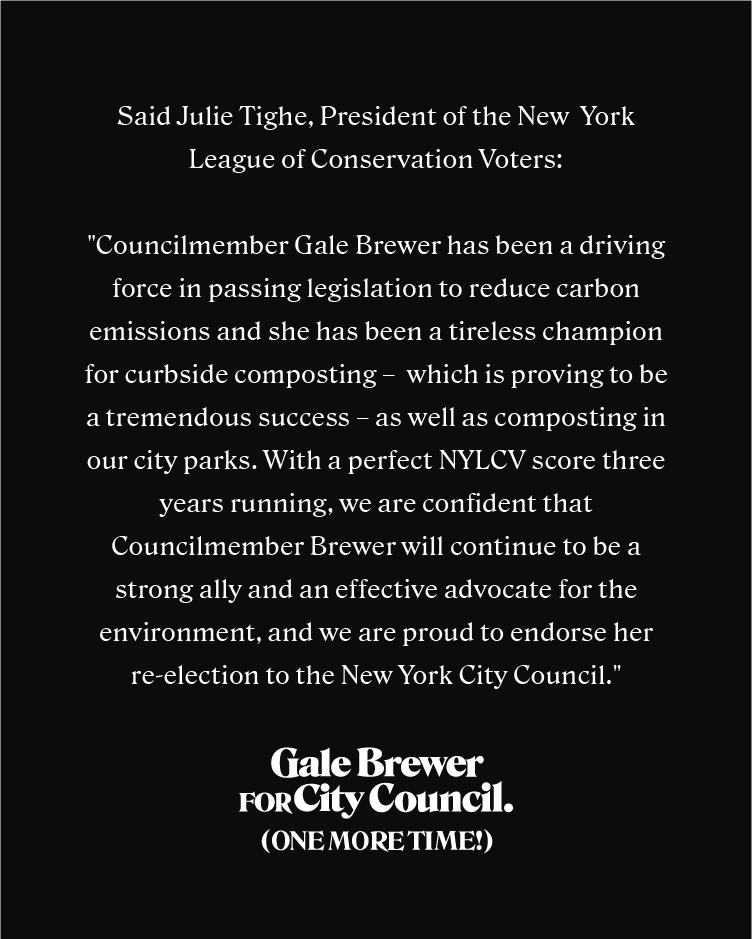 I'm proud to announce that I have been endorsed by the NY League of Conservation Voters. Thank you to <a href="/nylcv/">NYLCV</a> for their support!