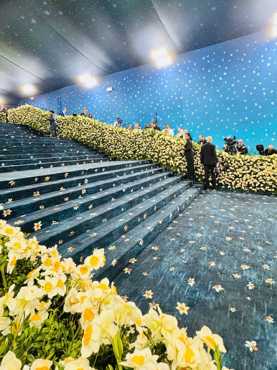 V_labial's tweet photo. … But what you don’t know is that that carpet is not just blue, it’s not turquoise, it’s not lapis, it’s actually cerulean. #MetGala2025 https://t.co/qJ2Lf1H1UZ
