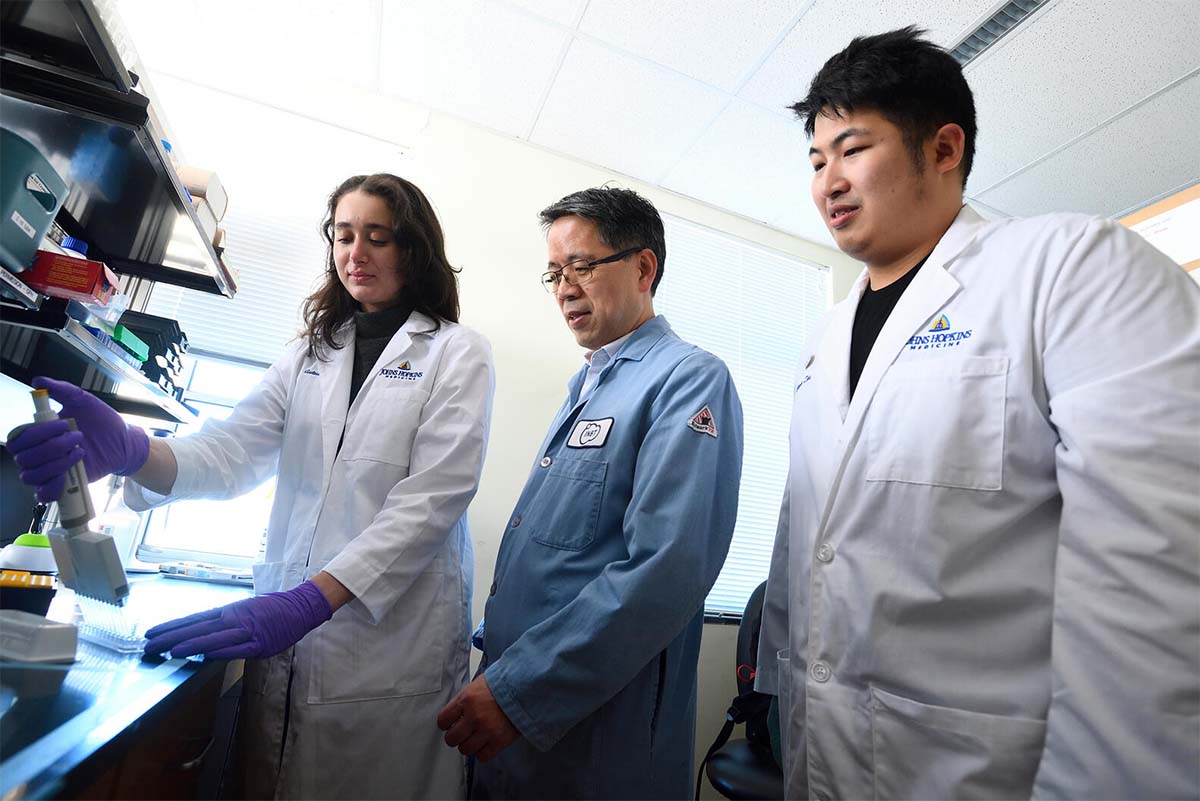 Johns Hopkins Engineering (@hopkinsengineer) on Twitter photo Collaborating with colleagues across Engineering and Medicine, Hai-Quan Maoβ<a href="/JHUMaterials/">Johns Hopkins MatSci</a> Professor and the Director of <a href="/INBT_JHU/">The Johns Hopkins Institute for NanoBioTechnology</a> βis putting his materials expertise to work fighting cancer, malaria, and nerve and tissue damage. Read about it: engineering.jhu.edu/news/transformβ¦ Collaborating with colleagues across Engineering and Medicine, Hai-Quan Maoβ<a href="/JHUMaterials/">Johns Hopkins MatSci</a> Professor and the Director of <a href="/INBT_JHU/">The Johns Hopkins Institute for NanoBioTechnology</a> βis putting his materials expertise to work fighting cancer, malaria, and nerve and tissue damage. Read about it: engineering.jhu.edu/news/transformβ¦