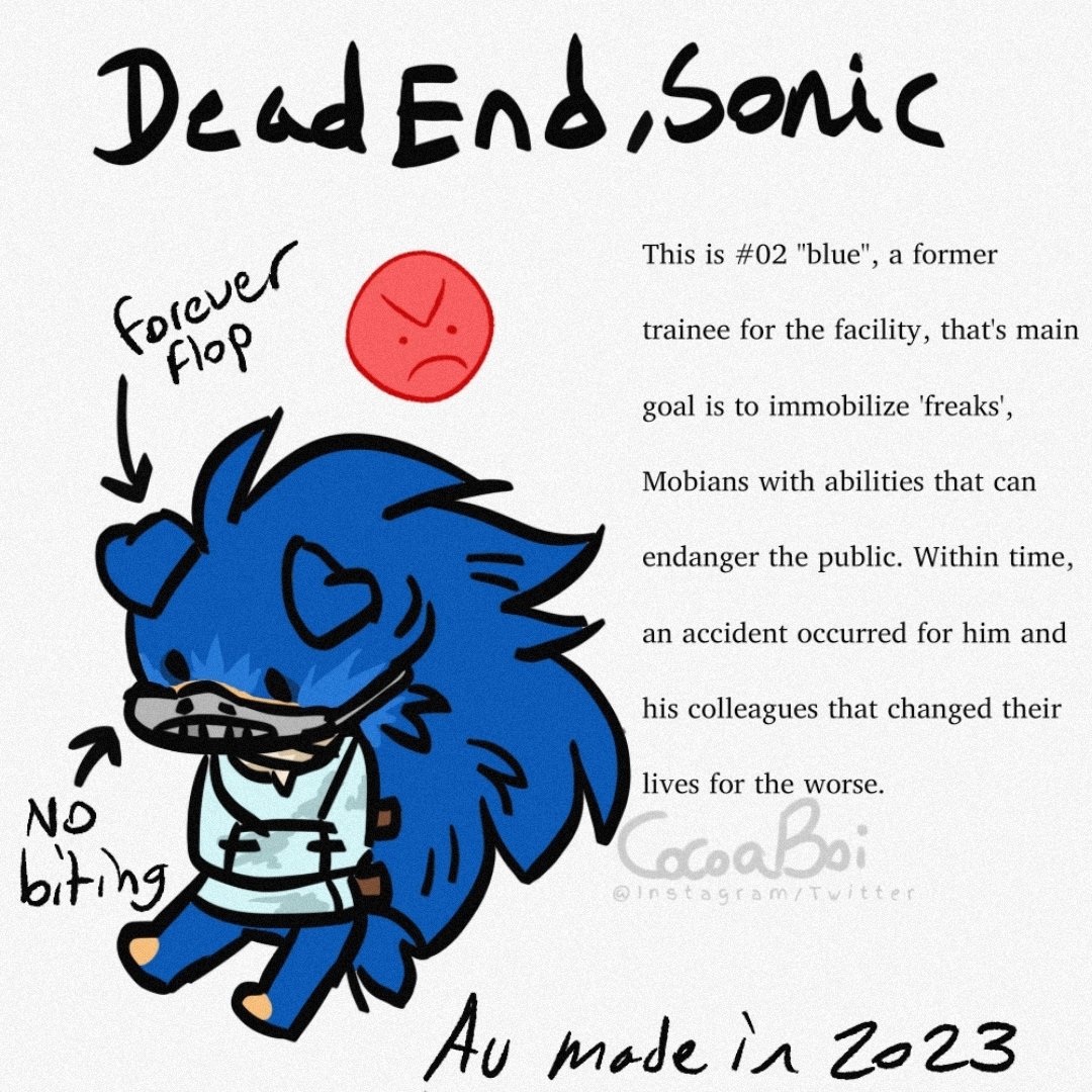 CocoaBoi4's tweet image. Itty bitty information bout these sonics
#ImminentSonic #snowyboyos #deadendau