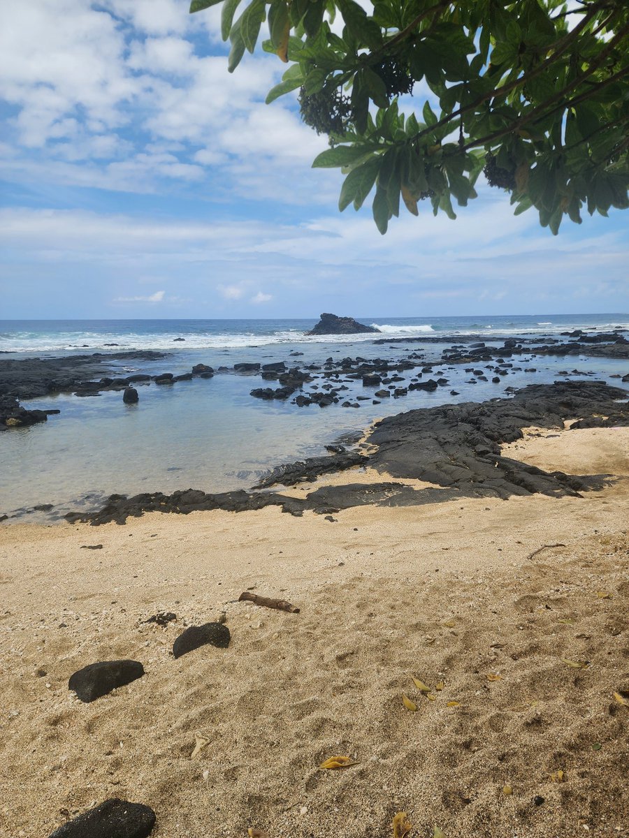 Happy to be playing the game