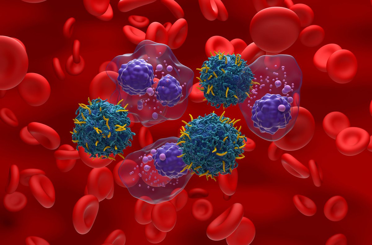 Administration of lenalidomide continuously for six or more cycles shows meaningful efficacy in patients with relapsed or refractory multiple #myeloma without serious toxicity, according to a phase 1b study presented at #AACR25.

📰 Read more: buff.ly/SyAMkaa