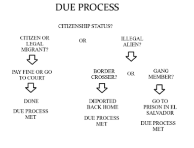 This flowchart makes it easy for the Left to understand Due Process.