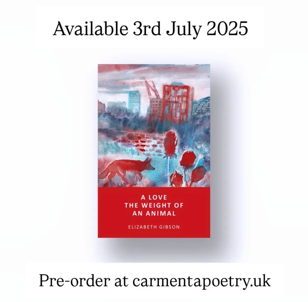 Carmenta Poetry (@carmentapoetry) on Twitter photo โค๏ธ Our first #poetry collection - A love the weight of an animal by Elizabeth Gibson <a href="/Grizonne/">Elizabeth Gibson (they/them) ๐</a>
๐ Carmenta is a new imprint of <a href="/Confingo/">Cลnfingล Publishing</a> in the #NorthWest of England
๐ Pre-order at carmentapoetry.uk โค๏ธ Our first #poetry collection - A love the weight of an animal by Elizabeth Gibson <a href="/Grizonne/">Elizabeth Gibson (they/them) ๐</a>
๐ Carmenta is a new imprint of <a href="/Confingo/">Cลnfingล Publishing</a> in the #NorthWest of England
๐ Pre-order at carmentapoetry.uk
