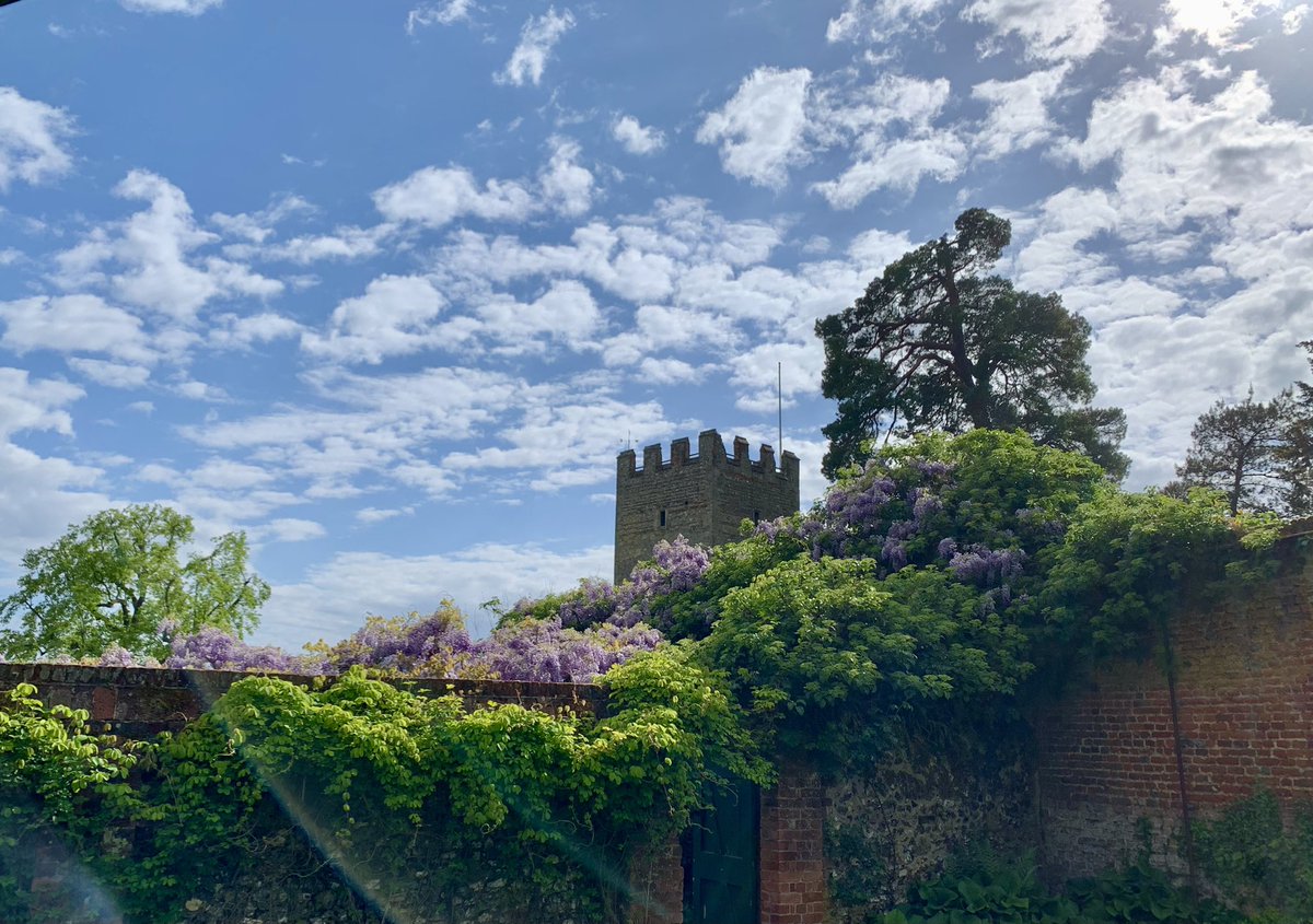 jackiewatson05's tweet image. Rather nice visit to @nationaltrust Greys Court today with wisteria at peak perfume. 🥰