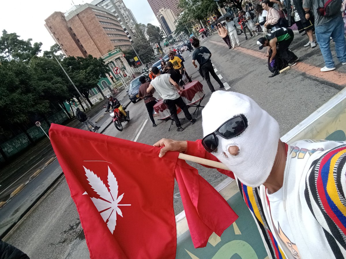 HumoConsiente's tweet image. Elecciones 2026 cannabica #srchafreen