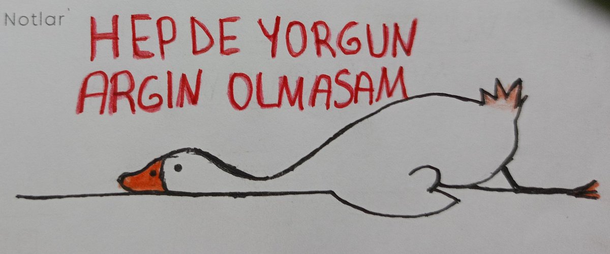 fulya (@sadecefulyaa) on Twitter photo 