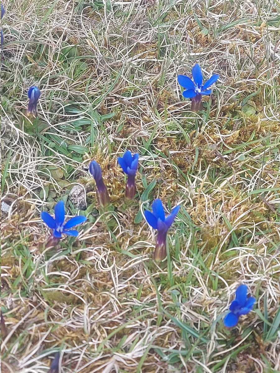 Boot and Shoe tweet media