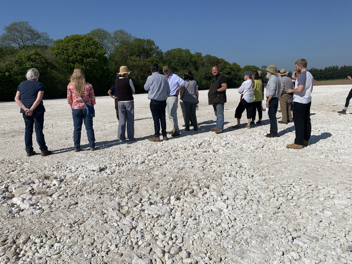 kentdowns6's tweet image. Big thanks to John at biodiversityandhabitatsolutions.co.uk/chalksole-farm for hosting our east kent downs farmers' workshop on BNG with @BiodiverseC and @DoverDC Working with BNG to extend and link our east kent downs farmers long term habitat creation work.👍