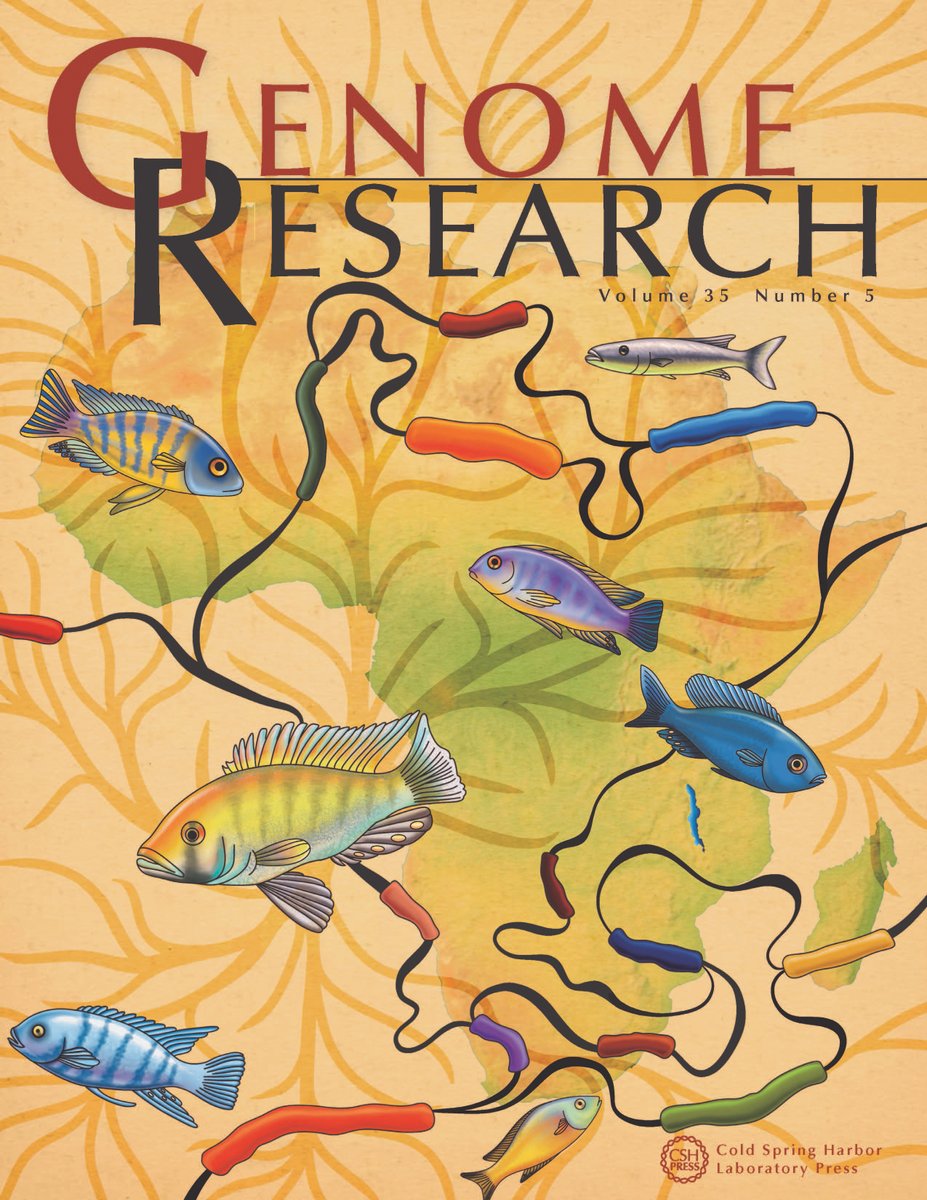CSHLPress (@cshlpress) on Twitter photo The new issue of <a href="/genomeresearch/">Genome Research</a> is now live! Follow the link to a new ultra-long nanopore sequencing toolkit, a unified analysis of atlas single-cell data, and more! tinyurl.com/Genome-Res-35-5 The new issue of <a href="/genomeresearch/">Genome Research</a> is now live! Follow the link to a new ultra-long nanopore sequencing toolkit, a unified analysis of atlas single-cell data, and more! tinyurl.com/Genome-Res-35-5