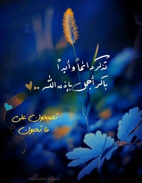 ڛۣــحۡــٰٱ̍بــہ ̨؏ــٰٱ̍بــڔه (@ma16_a_1) on Twitter photo - مَـا خيّب اللّٰه الكفوفَ الدّاعية.''
#الوتر_جنة_القلوب
<a href="/Ma16_A_1/"> ڛۣــحۡــٰٱ̍بــہ ̨؏ــٰٱ̍بــڔه</a> - مَـا خيّب اللّٰه الكفوفَ الدّاعية.''
#الوتر_جنة_القلوب
<a href="/Ma16_A_1/"> ڛۣــحۡــٰٱ̍بــہ ̨؏ــٰٱ̍بــڔه</a>