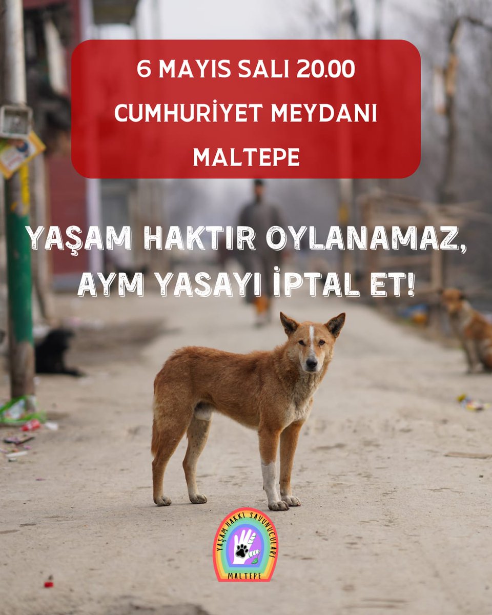 9 aydır katliam yasasını gündemine alması beklenen <a href="/AYMBASKANLIGI/">Anayasa Mahkemesi</a> 7 Mayıs Çarşamba günü yasanın iptalini görüşecek. Yaşamı savunan herkesi 6 Mayıs Salı 20.00'de Maltepe Cumhuriyet Meydanı'na bekliyoruz. Hep birlikte AYM'ye sesleniyoruz; #YaşamHaktırOylanamaz #AymYasayıİptalEt