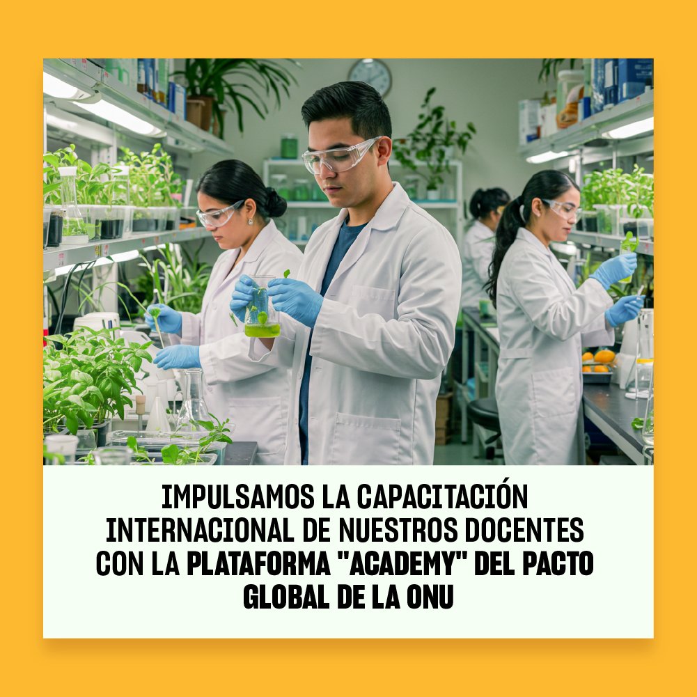 🌍 ¡Formación global para nuestros docentes!

Nos sumamos a Academy, la plataforma del @globalcompactONU, que brinda certificaciones internacionales y contenidos actualizados alineados a los #ODS y al desarrollo sostenible 💡

Conoce más aquí: bit.ly/42XLgHl

#AcademyONU