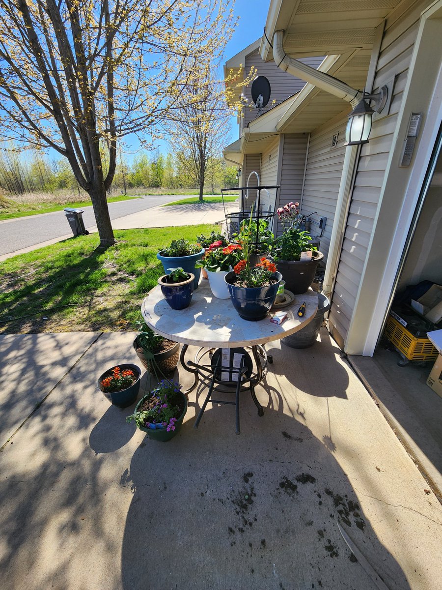 Good day today. I got to see an eagle be harassed by crows, and get in some dirt therapy.