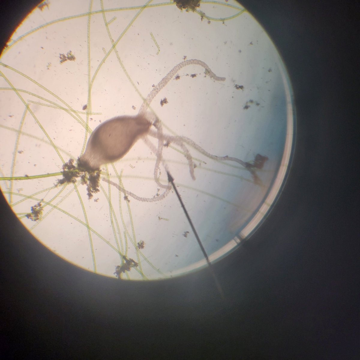 EHMS Shaw Science tweet media