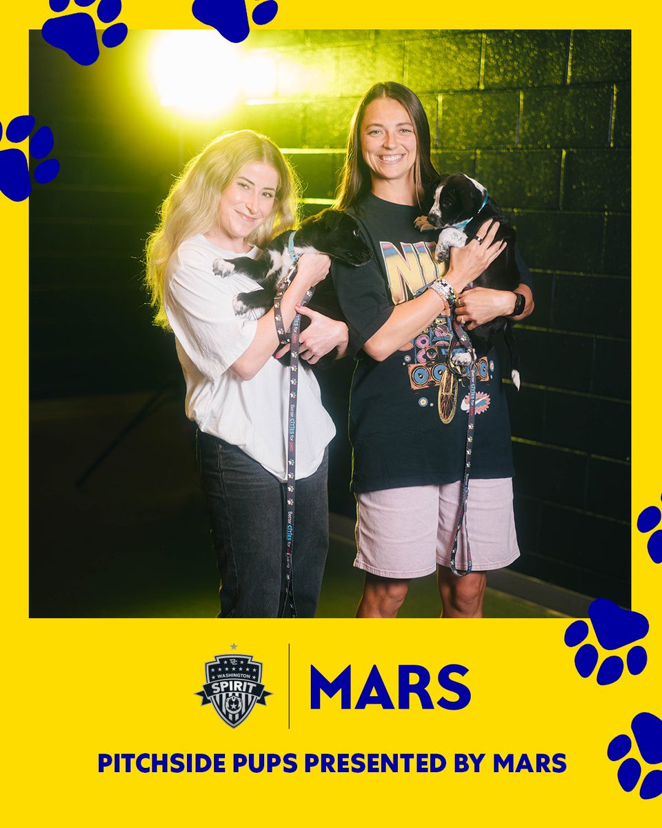 Ashley Hatch (@ash_hatch33) on Twitter photo Thank you to <a href="/MarsGlobal/">Mars, Incorporated</a> for inviting these cute furry fans from <a href="/WTARescue/">WolfTrapAnimalRescue</a> to our game! 🐾 Thank you to <a href="/MarsGlobal/">Mars, Incorporated</a> for inviting these cute furry fans from <a href="/WTARescue/">WolfTrapAnimalRescue</a> to our game! 🐾