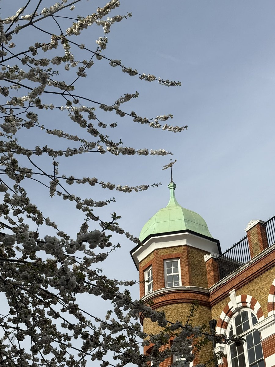 எட்டாத உயரத்திற்கு, மலர்களின் மெல்லிய முயற்சி.