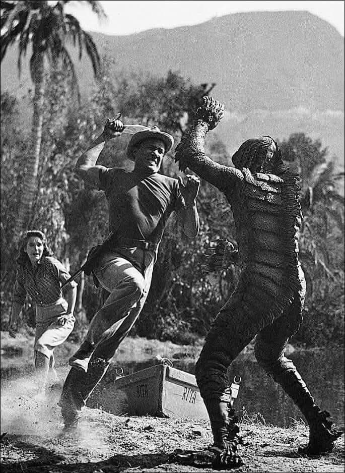 Retro Horror (@el_zombo) on Twitter photo 