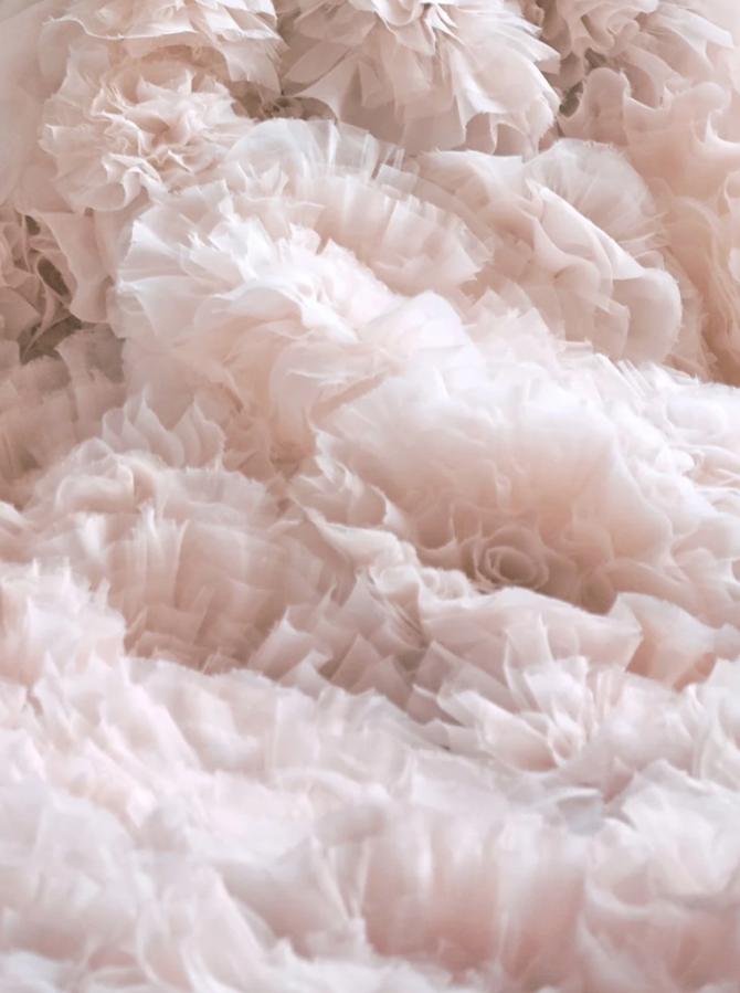 Insider MC tweet media