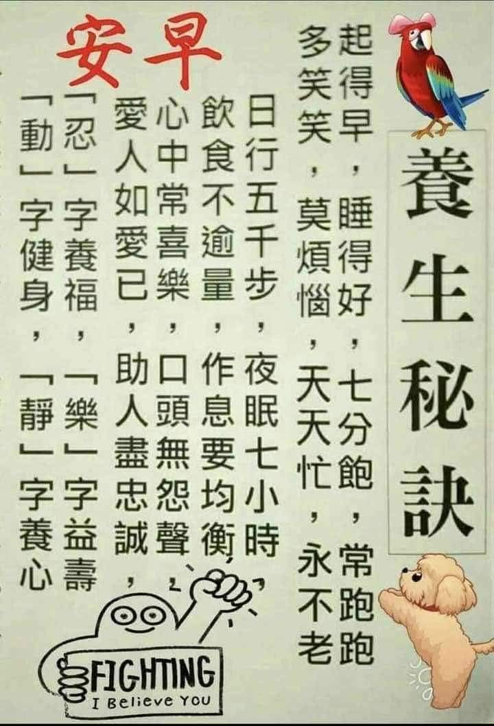 嚴培德單身（板橋阿德） (@yanpeide2) on Twitter photo 