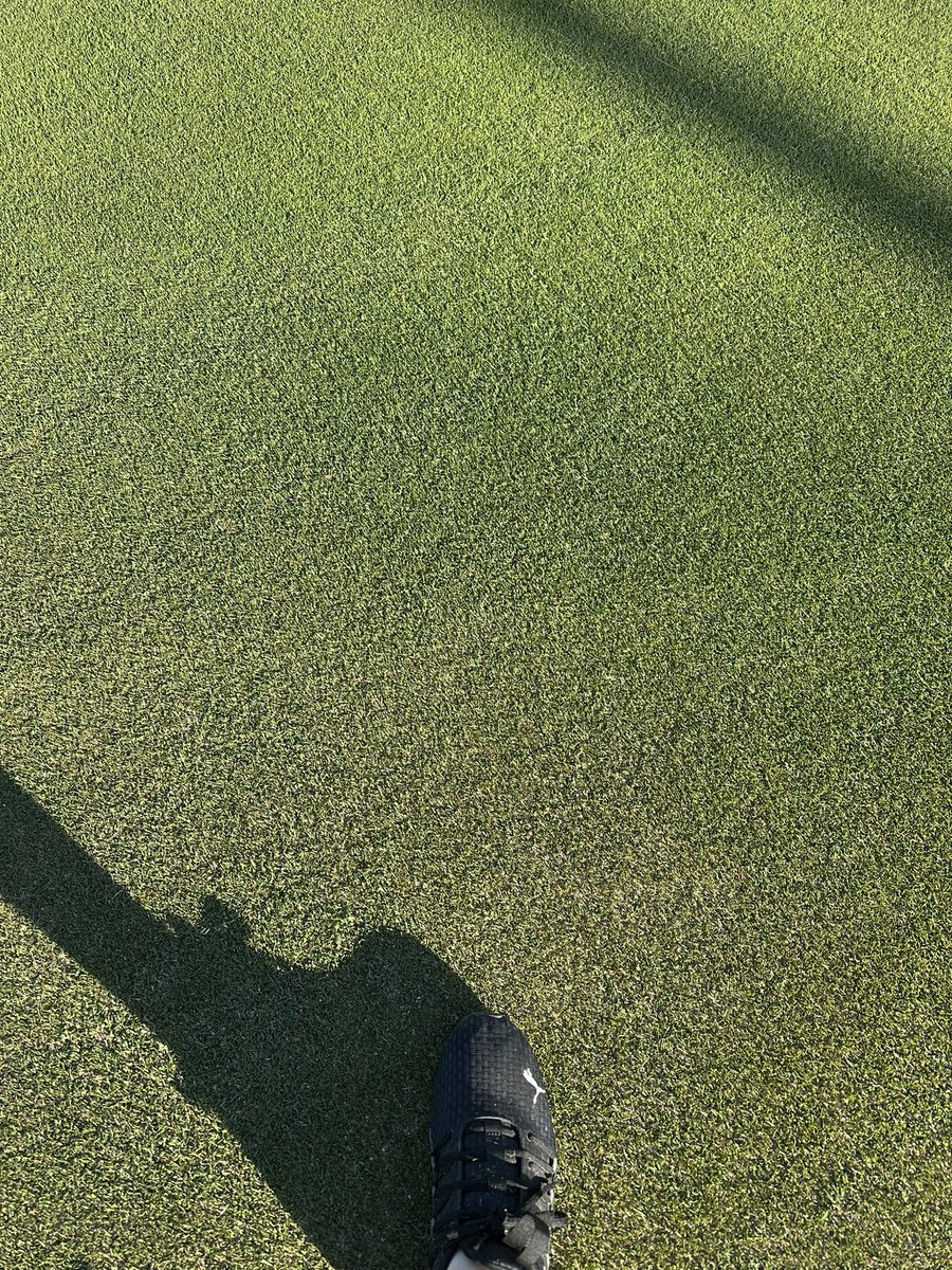 Marquette Golf Club (@marquettegolf) on Twitter photo Our new putting green ‘Ol’ Moreau’ that <a href="/JoeytheKnows/">Joe Hancock</a> created with us is glowing this spring. Looking forward to getting the new irrigation mainline hooked up to the pipes around it. We can then push more growth before opening it up for play. Our new putting green ‘Ol’ Moreau’ that <a href="/JoeytheKnows/">Joe Hancock</a> created with us is glowing this spring. Looking forward to getting the new irrigation mainline hooked up to the pipes around it. We can then push more growth before opening it up for play.