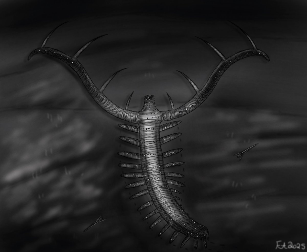 Hadranax, a large Lobopodian from the lower Cambrian aged Sirius Passet fauna in Northern Greenland. Been meaning to finish this for a while now
#paleoart 
#cambrian
#lobopodian