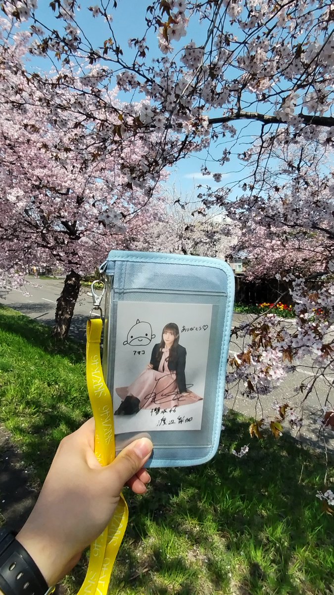 はぐれたトモ🍞🚌 tweet media