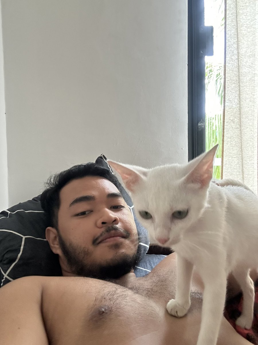 Meet Mimi, ang bekicat na ayaw pumirmi at nanggigising kasi gutom na pero gusto rin ng snuggles HAHAHAHAHA gudmoewrting! 😽