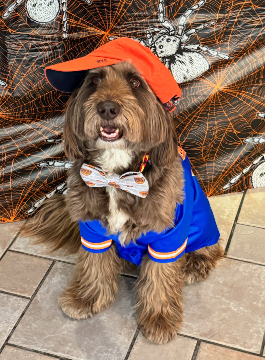 Bocker & Marie tweet media