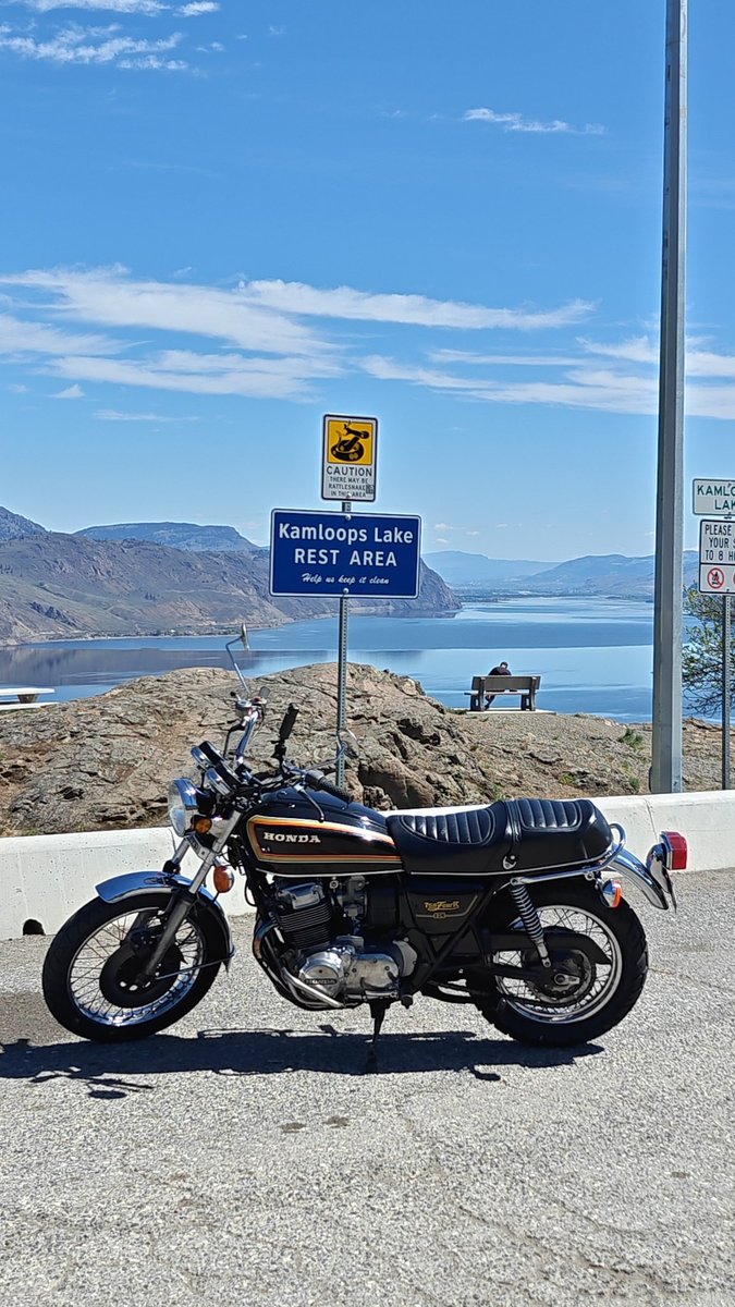 Everyone has been radicalized (@mrkcstr) on Twitter photo 