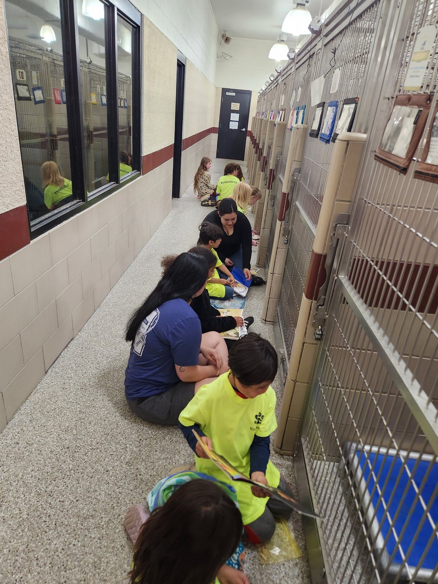 MrsSweeney-SESCoaching tweet media