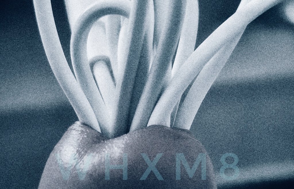 whxm tweet media