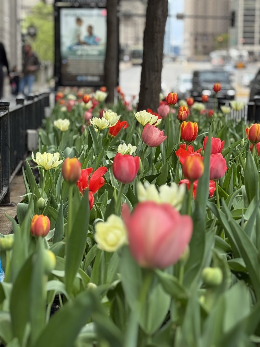 C H I C A G O 
E S P E C T A C U L A R 
#Chicago