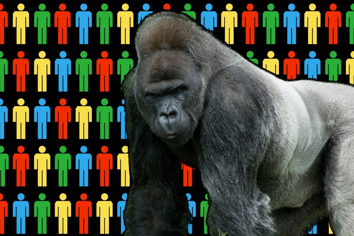 WhoWouldWin13's tweet photo. #100Men🤷🏿‍♂️🕺🏻 VS #Gorilla🦍

(Animal Kingdom Battle) 

Who wins, and why⁉️

#whowouldwin #deathbattle #elonmusk
@TierZoo https://t.co/Lrh6N8aU4d