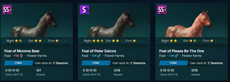 Great foals day for Flower Farms.

That makes 5 SS- in a small stable.

Just be doing something right 😀